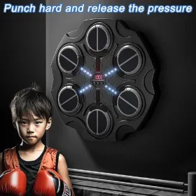 Black Liujian Music Boxing Target-Bluetooth Lithium Battery Charger